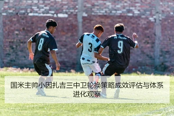 国米主帅小因扎吉三中卫轮换策略成效评估与体系进化观察